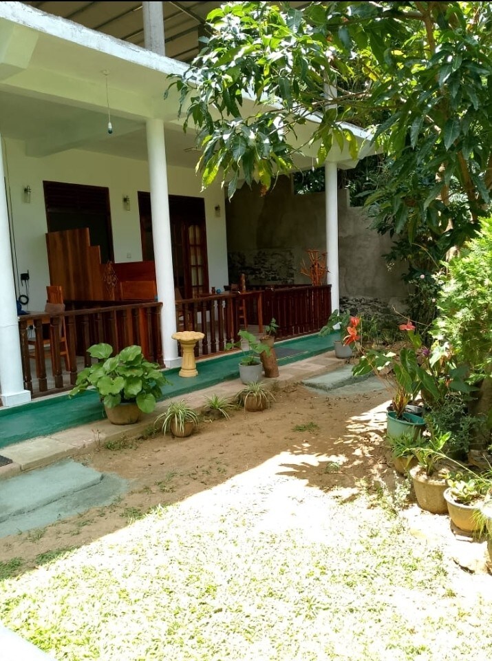 A well-maintained garden area features a mix of greenery and potted plants along a stone pathway. The entrance to the guest house is visible, with a wooden deck and open space inviting relaxation. Sunlight softly illuminates the area, enhancing the tranquil setting.