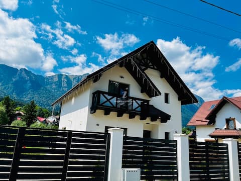 Mountain Guest-House Busteni