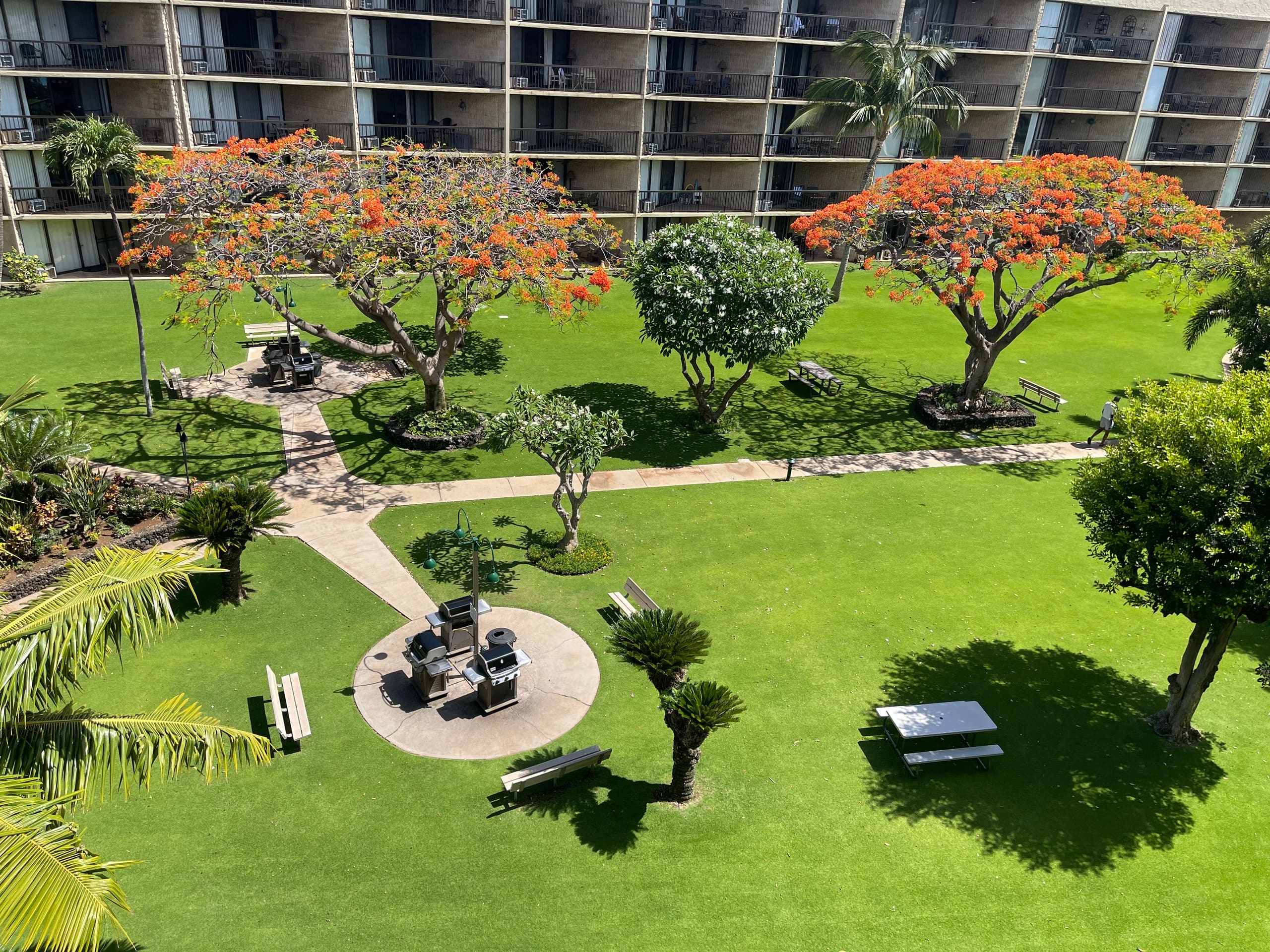 Condo in Kihei · ★4.71 · 1 bedroom · 2 beds · 2 private baths - Image 18