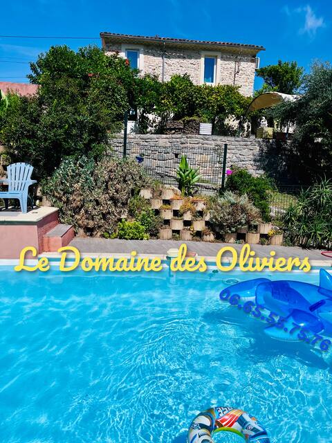 Le Domaine des Oliviers 12p Pool, Spa, Sauna, Air-Conditioning