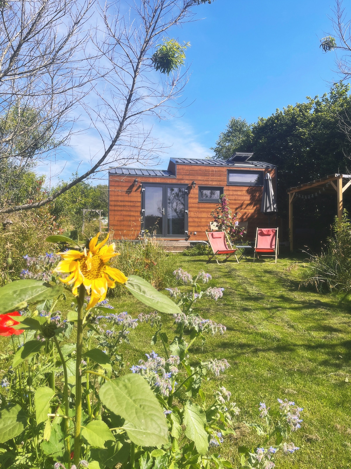 A quaint wooden tiny house is surrounded by a lush garden, featuring blooming flowers and green grass. Two red chairs are positioned in front, inviting relaxation. The sky is clear and blue, enhancing the serene outdoor setting.