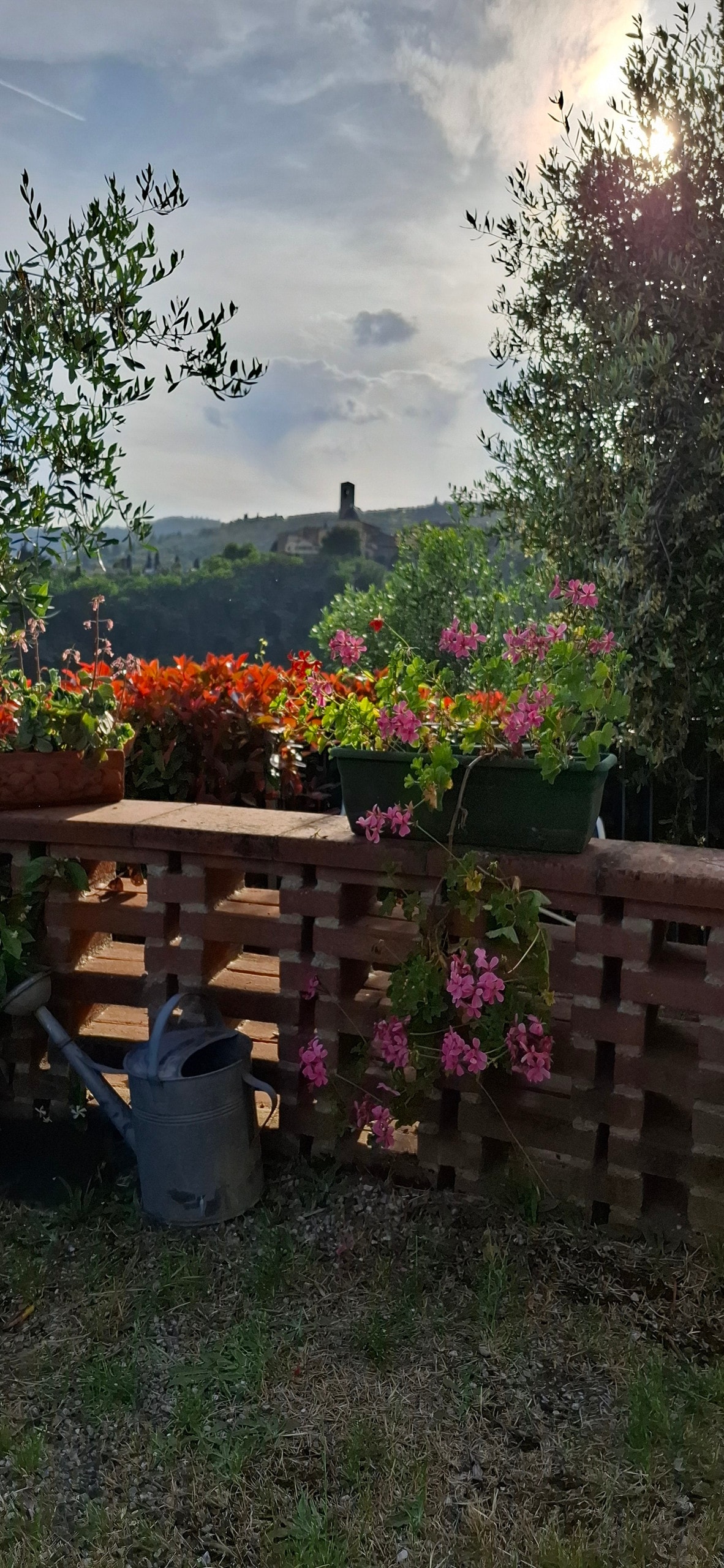 A view from a stone wall adorned with blooming flowers in vibrant shades of pink and orange. An olive tree stands nearby, and a watering can rests on the ground. The distant landscape features a historic tower surrounded by rolling hills under a cloudy sky.