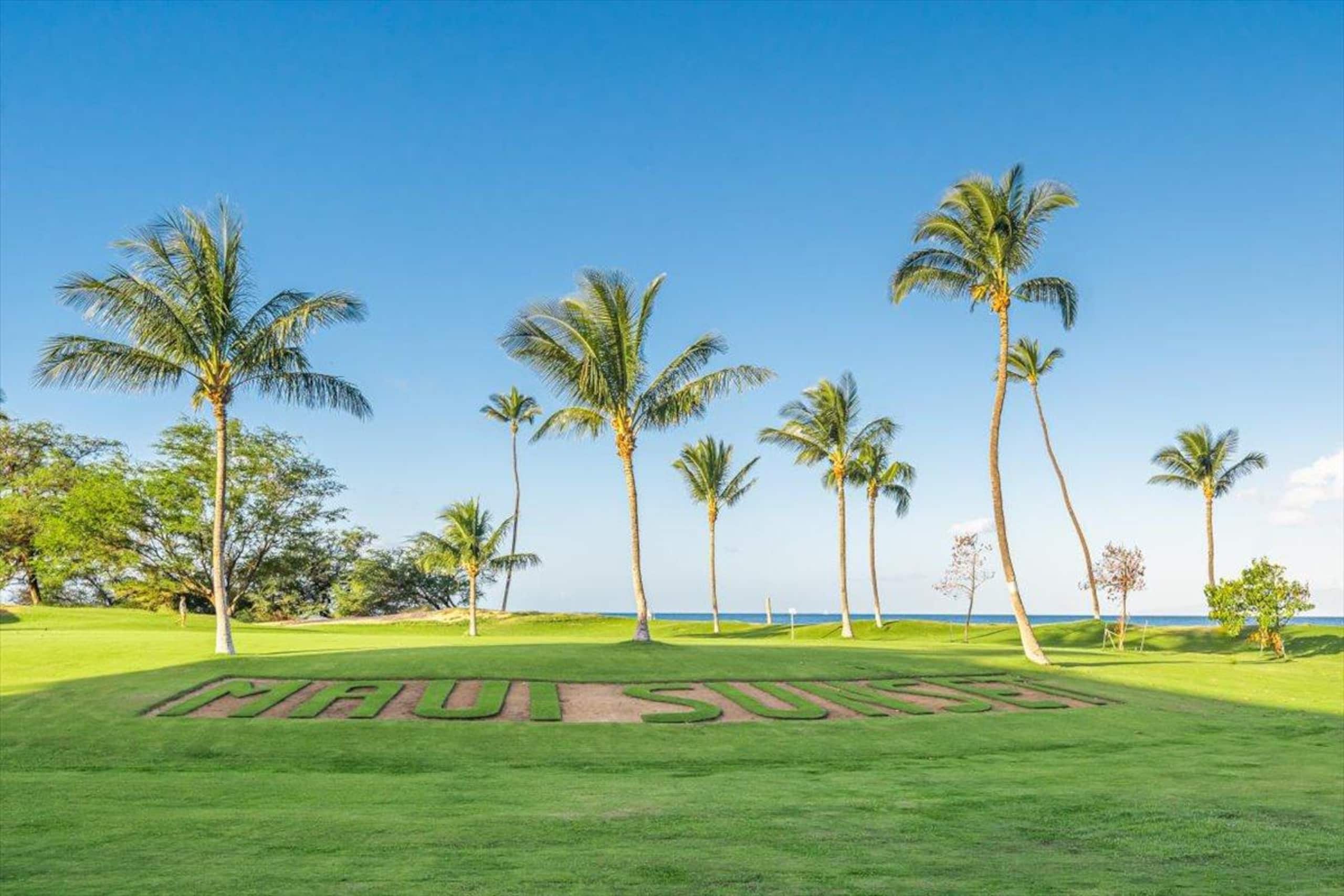Condo in Kihei · ★4.0 · 1 bedroom · 3 beds · 2 baths - Image 31