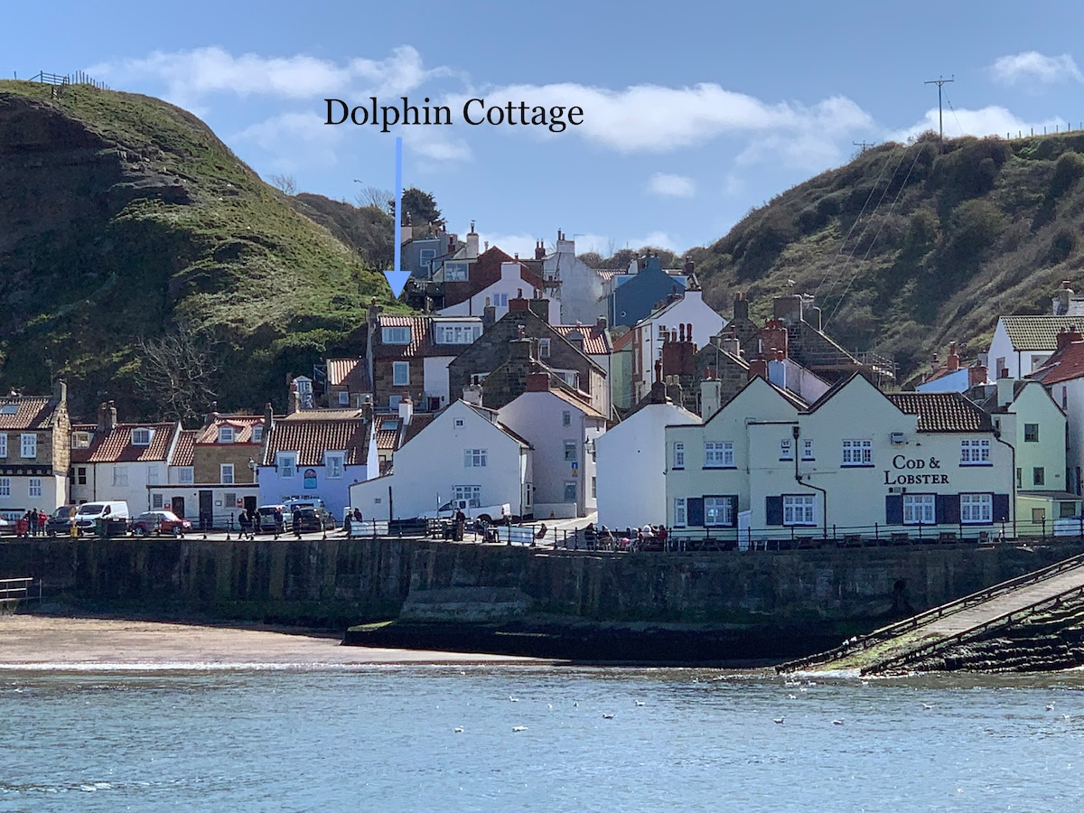 A seaside view of Dolphin Cottage, situated among charming buildings overlooking the beach and harbor. The location includes the nearby Cod & Lobster pub, with a backdrop of lush hills. Clear blue skies and calm waters enhance the inviting coastal atmosphere.