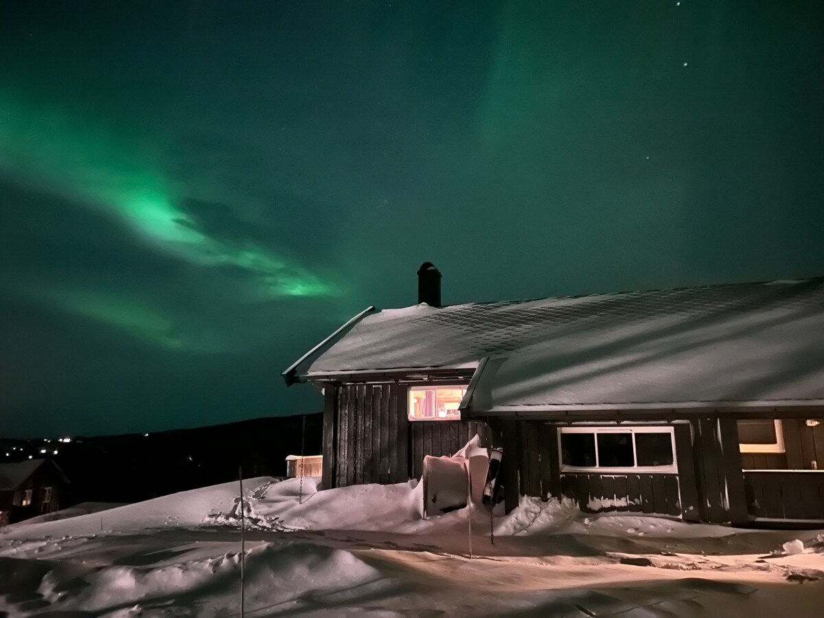 A cozy cabin is illuminated at night by a warm glow from the windows. Snow blankets the ground, and the northern lights create a stunning green display in the sky above. The cabin is positioned in a serene landscape, enhancing the peaceful atmosphere.
