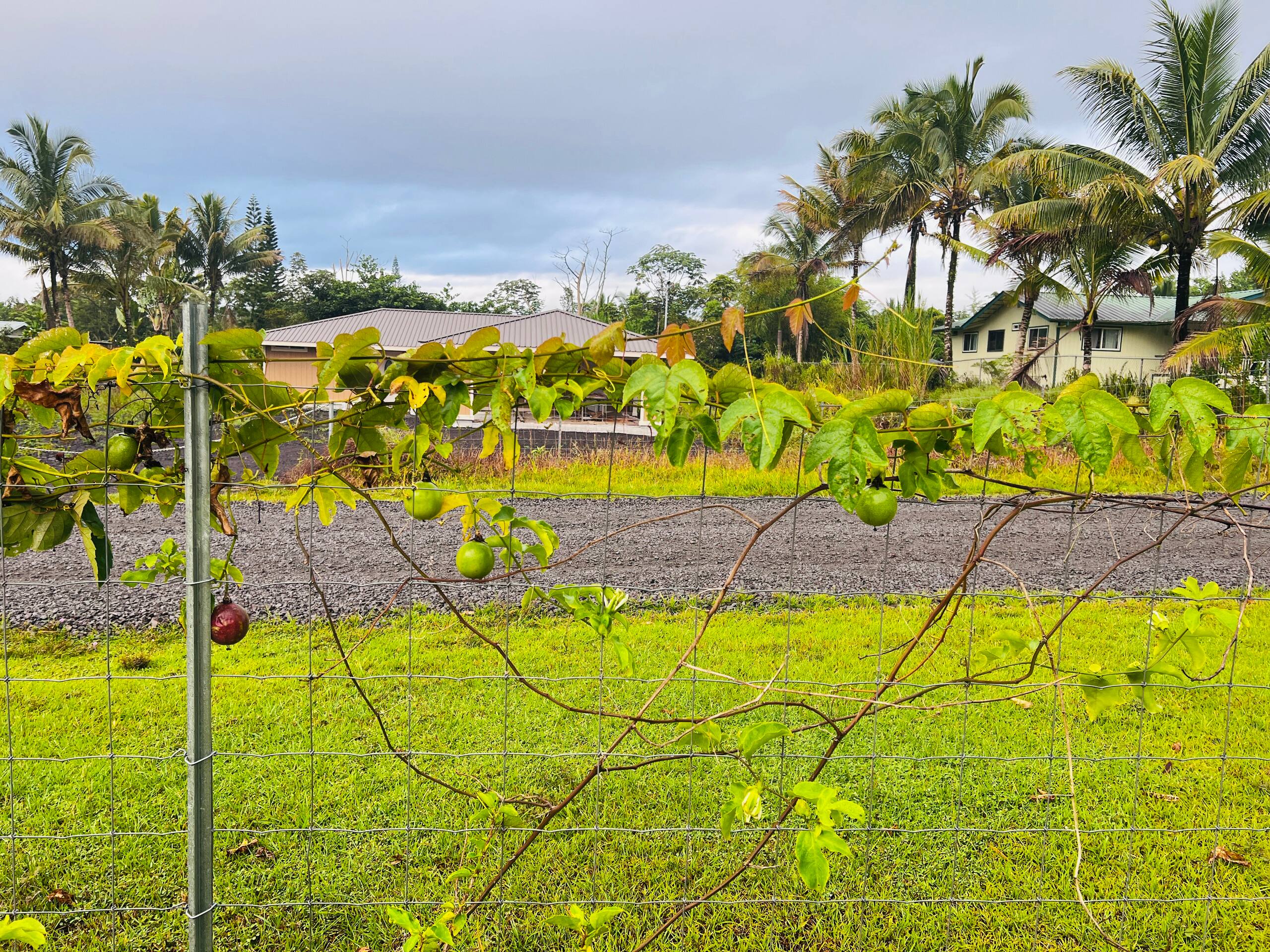 Home in Keaau · ★4.81 · 3 bedrooms · 4 beds · 2 private baths - Image 5