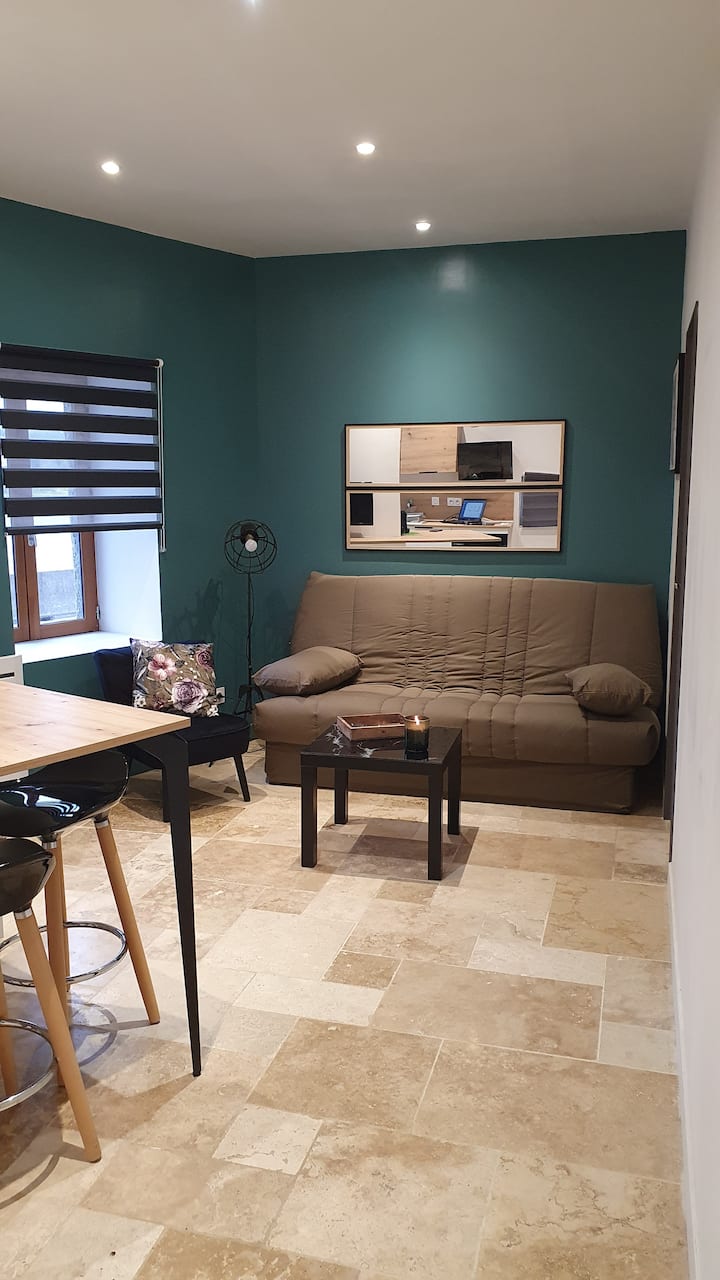 Appartement Indépendant Bord De Saône Avec Parking - Saint-André-de-Corcy