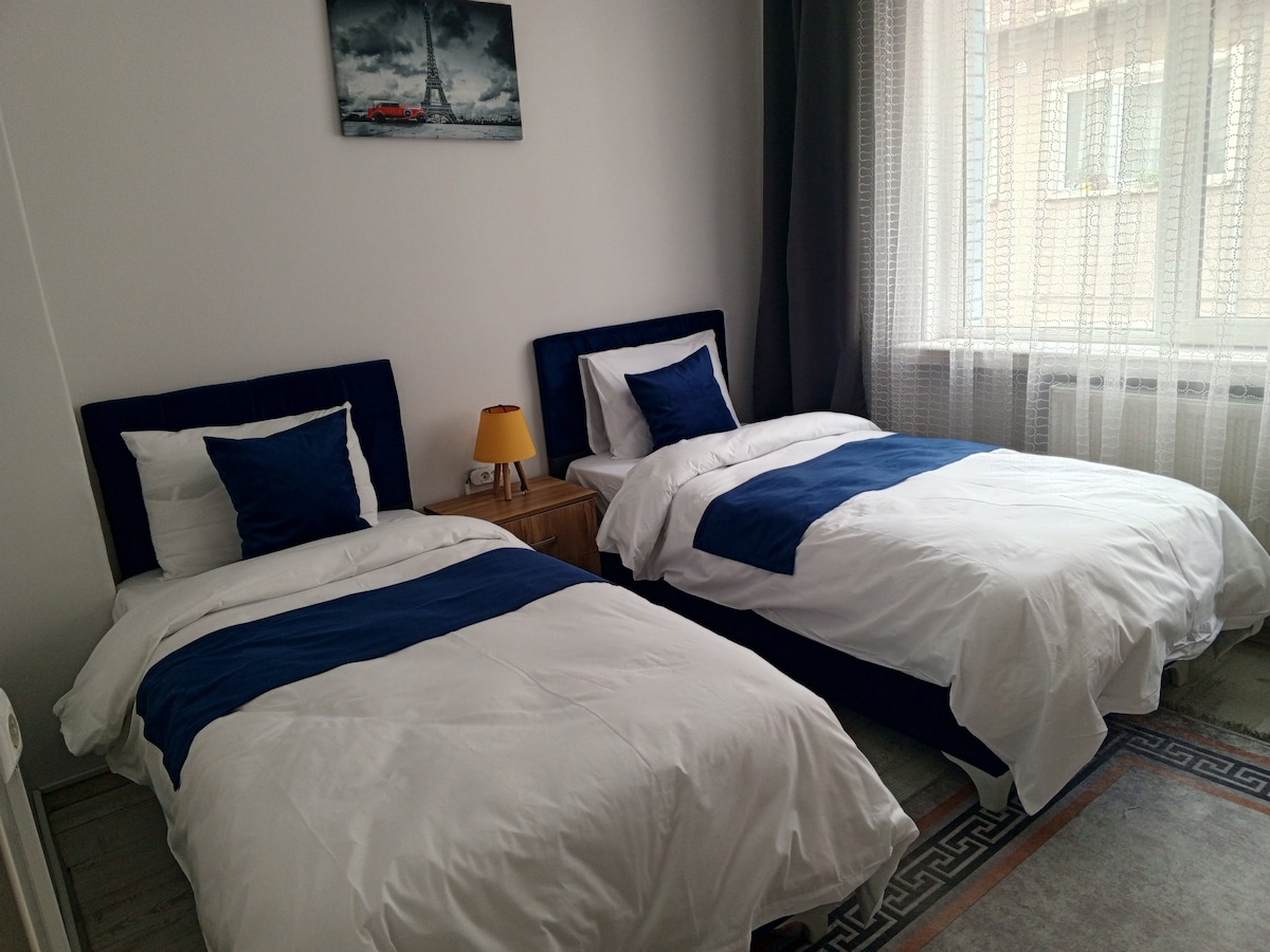 The room features two twin beds, each with navy blue accents and white linens. A bedside table with a lamp sits between the beds. Natural light filters through sheer curtains, creating a bright and inviting atmosphere. A piece of wall art adds a touch of character.