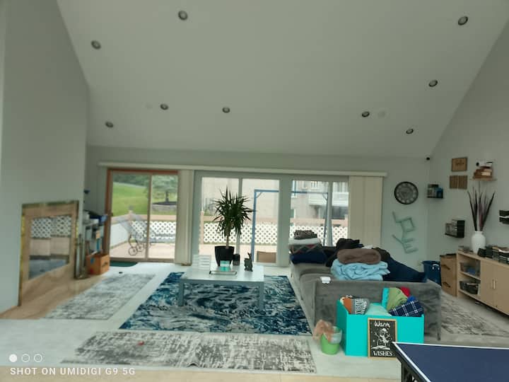 Salon 1