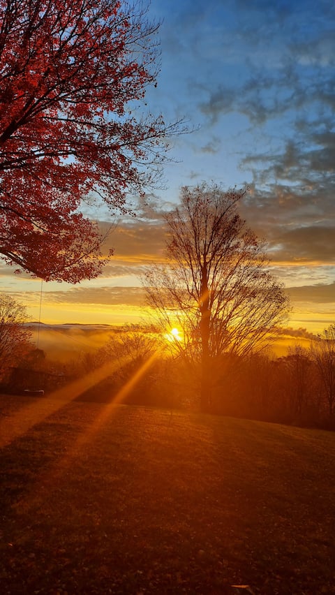 Comfy Quarters Suite 2
Saltbox Hideaway