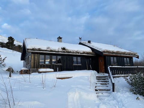 Cabin by the stølen alpine resort