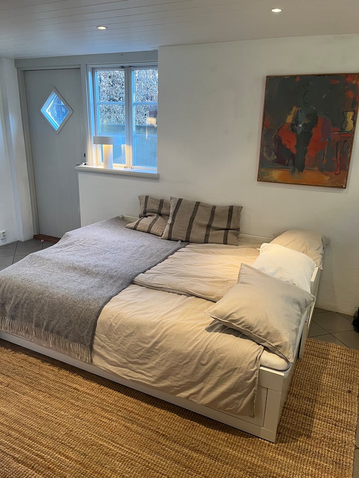 Bureau et chambre d'amis au sous-sol. Canapé convertible en lit de 160 cm de large