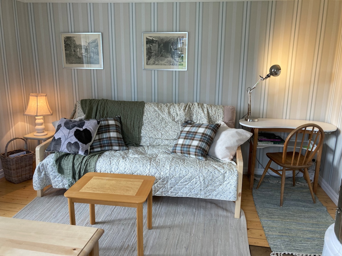 غرفة المعيشة