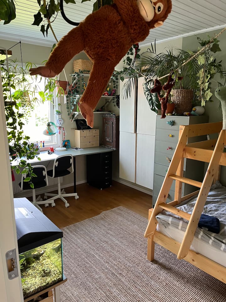 "Chumba cha msituni". Borneo zaidi kuliko Memphis.