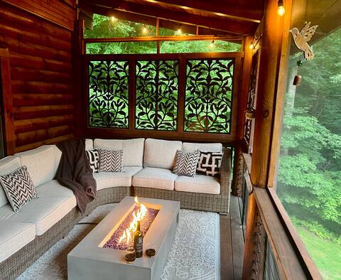 Cozy Holiday Retreat-3000 sq ft Brevard, NC Cabin