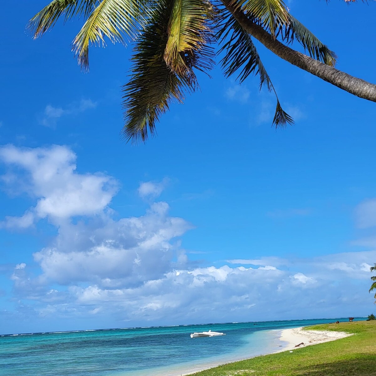 The image captures a serene beach scene with a clear blue sky and scattered clouds. A gentle shoreline curves along the water's edge, framed by lush green grass. Palm fronds arch gracefully overhead, while a small boat floats in the distance, enhancing the tranquil landscape.