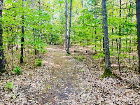 These Woods Were Made for Walkin