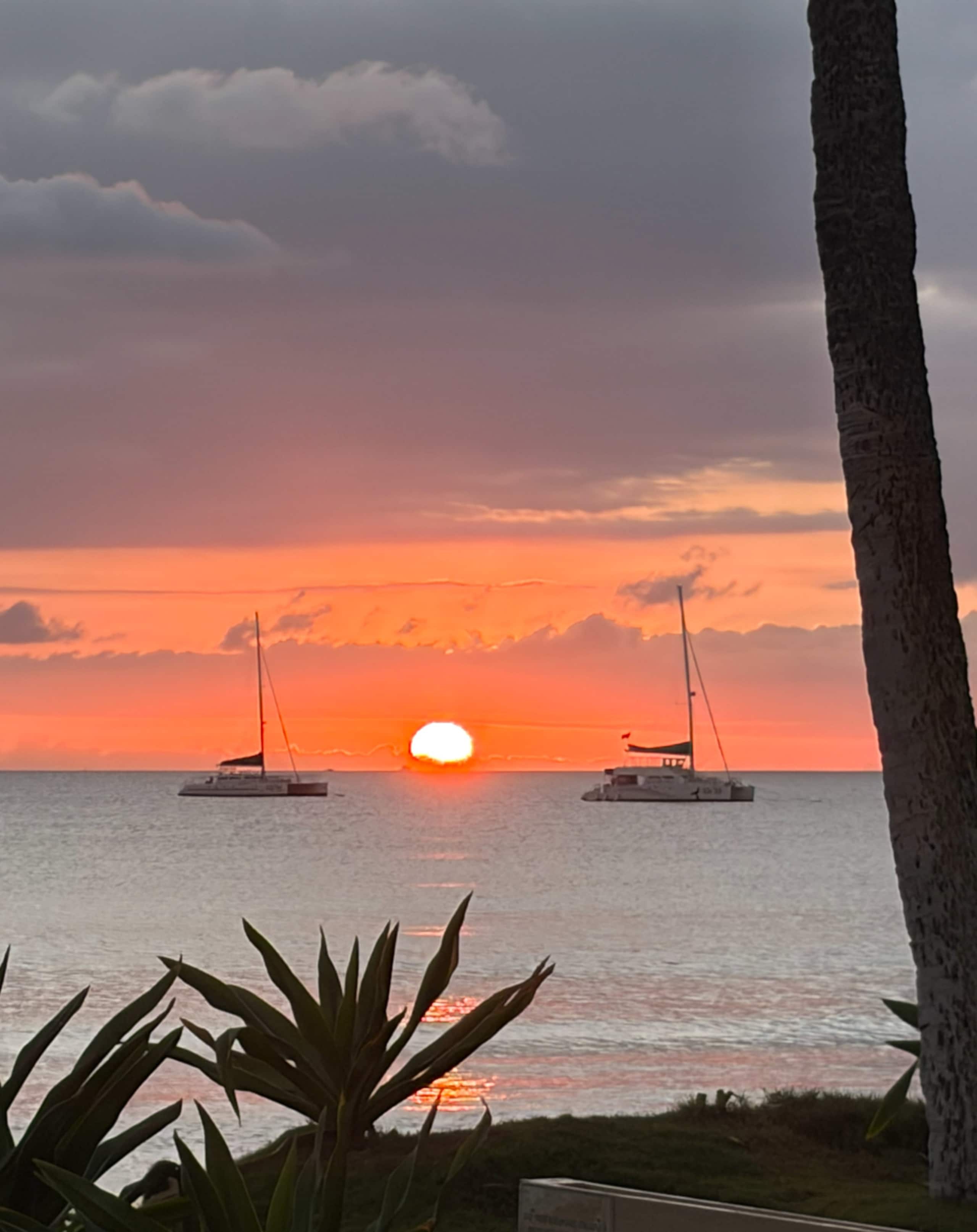 Beachfront Bliss on Sugar Beach - Image 19
