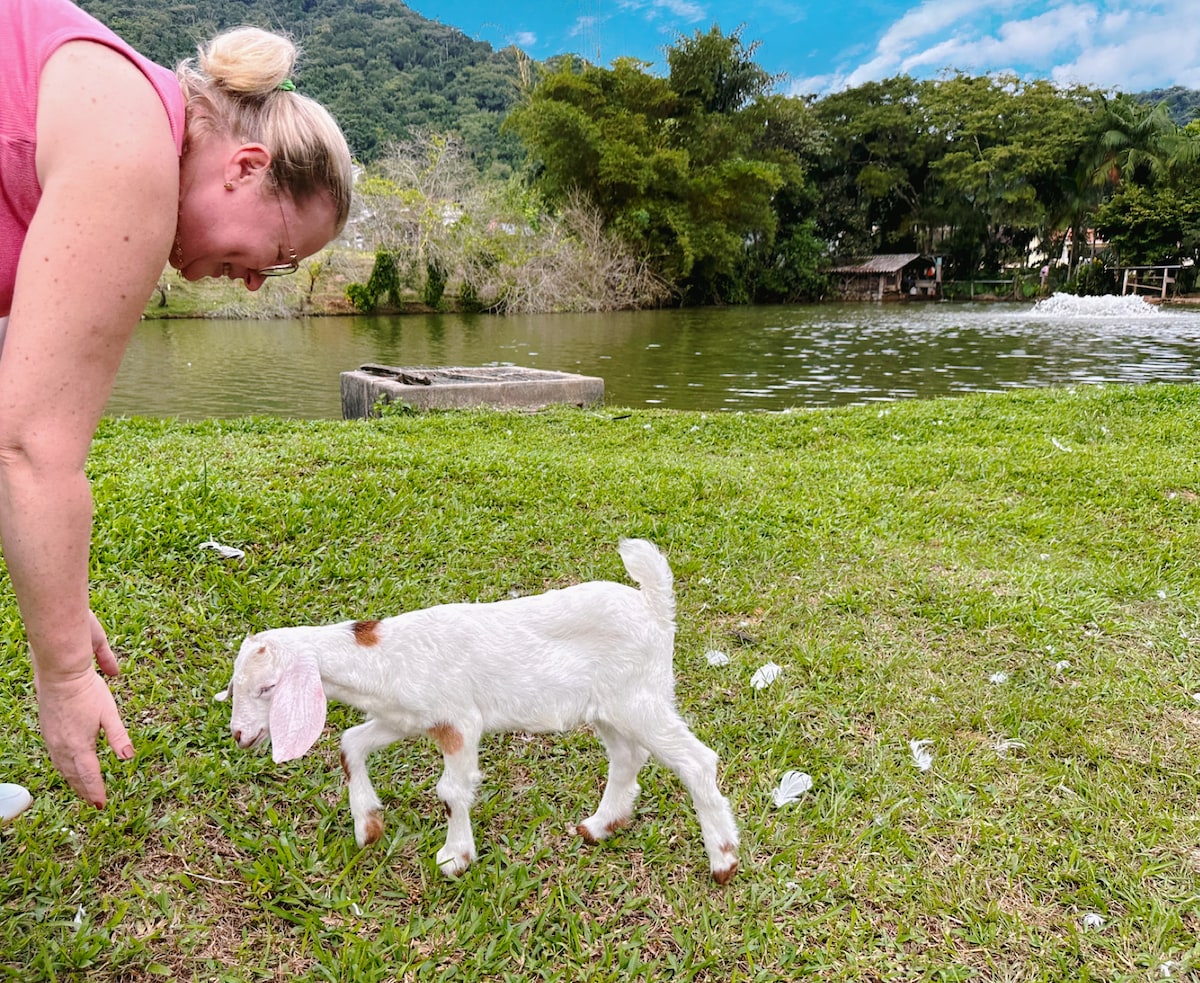 A small white goat grazes on the lush green grass near a tranquil lake. The surrounding landscape features trees and a distant structure, under a bright blue sky with fluffy clouds.