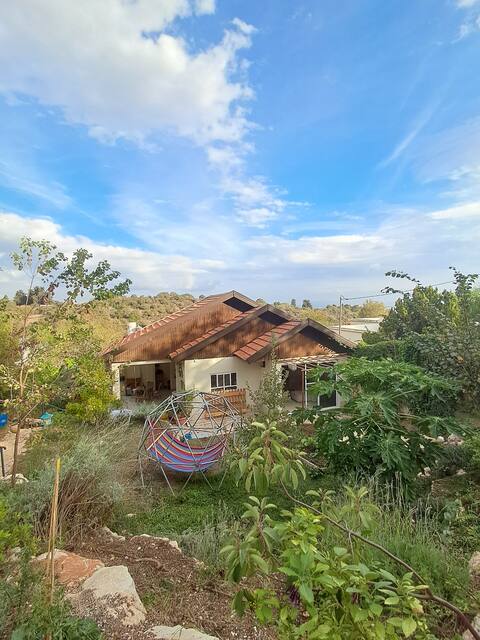 A House near the forest