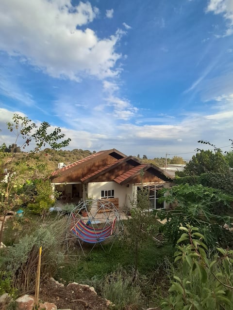A House near the forest