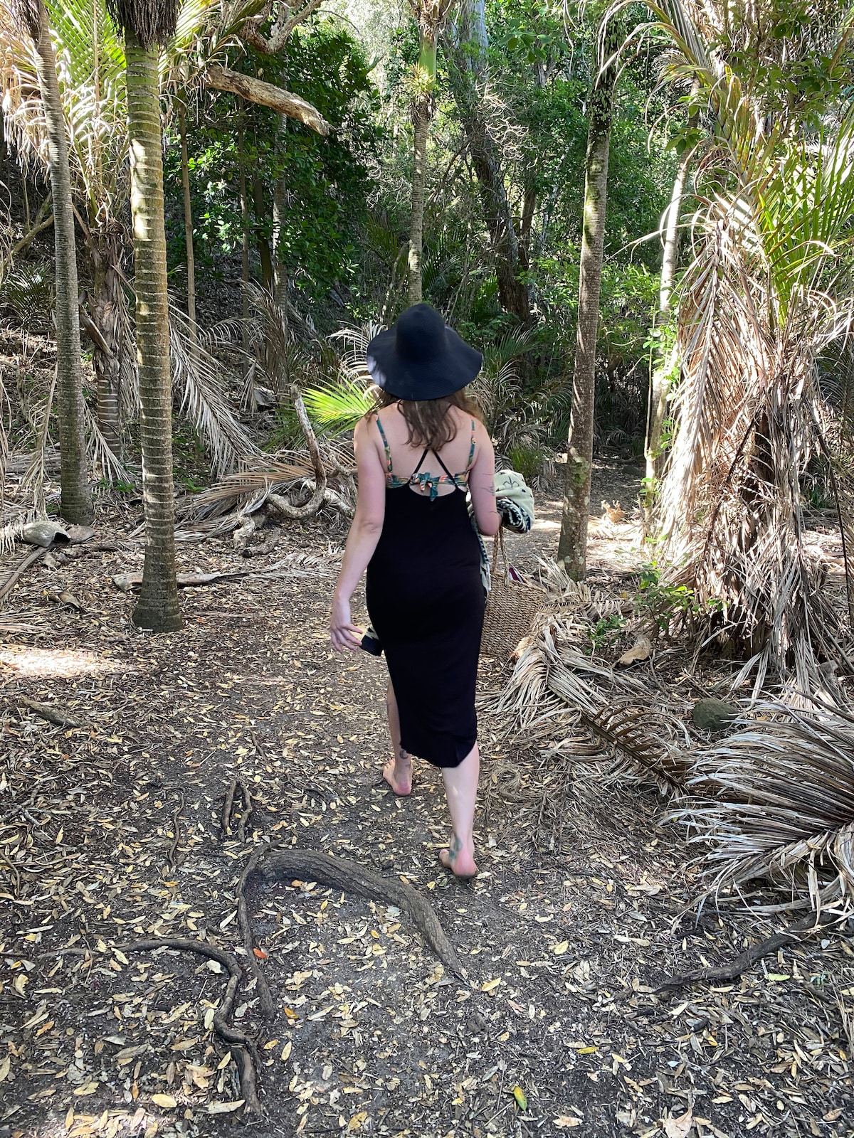 Walk to New Chums beach through native forest at New Chums in Whangapoua