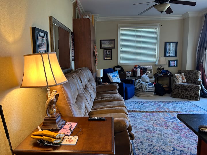 Auburn Tiger Suites - Auburn, AL