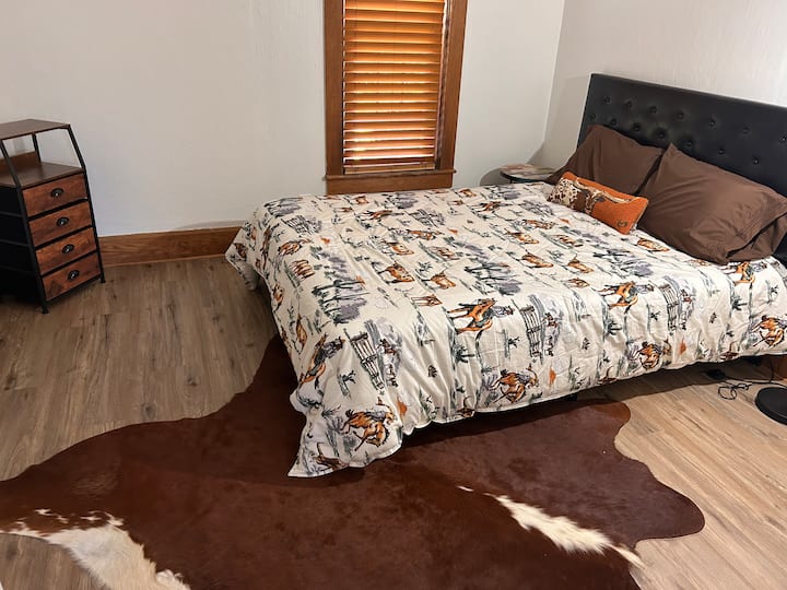 Downstairs bedroom
