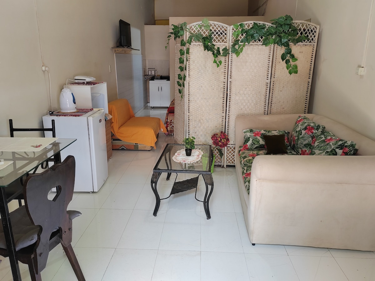 The cheerful living space features a light-colored sofa adorned with floral cushions, a glass coffee table, and a dining setup. A small kitchenette is visible in the background, while a folding screen decorated with greenery provides a sense of privacy.