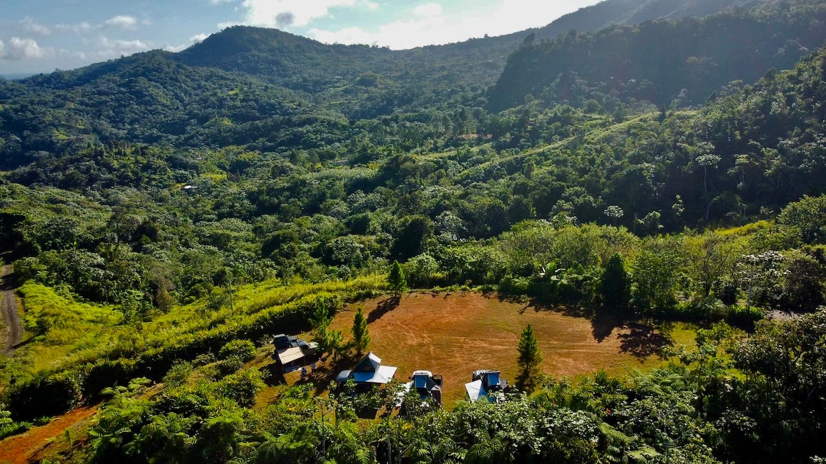 An aerial view of a spacious camping area surrounded by lush greenery and mountainous terrain. Several parked vehicles are visible along with tents, set against a backdrop of dense foliage and hills under a bright sky.