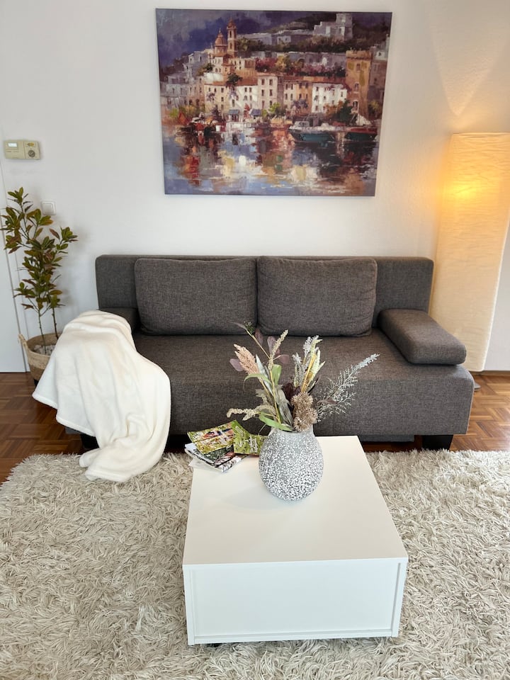 Geräumige Wohnung Mit Großer Küche In Wiesbaden - Wiesbaden