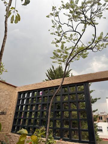 Alojamiento entero Terraza 8 personas Condesa