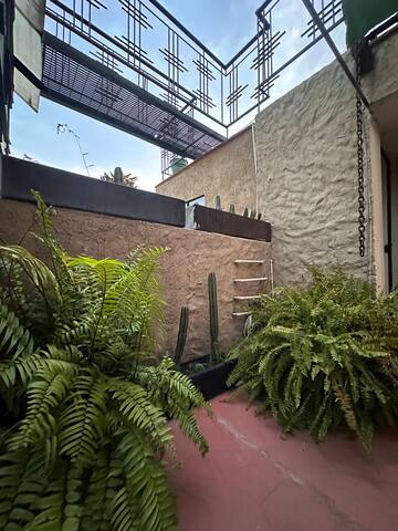 Alojamiento entero Terraza 8 personas Condesa gallery image 4