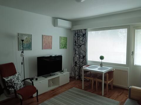 Successful Airbnb property: Clean one-bedroom apartment in the center of Joensuu in Joensuu