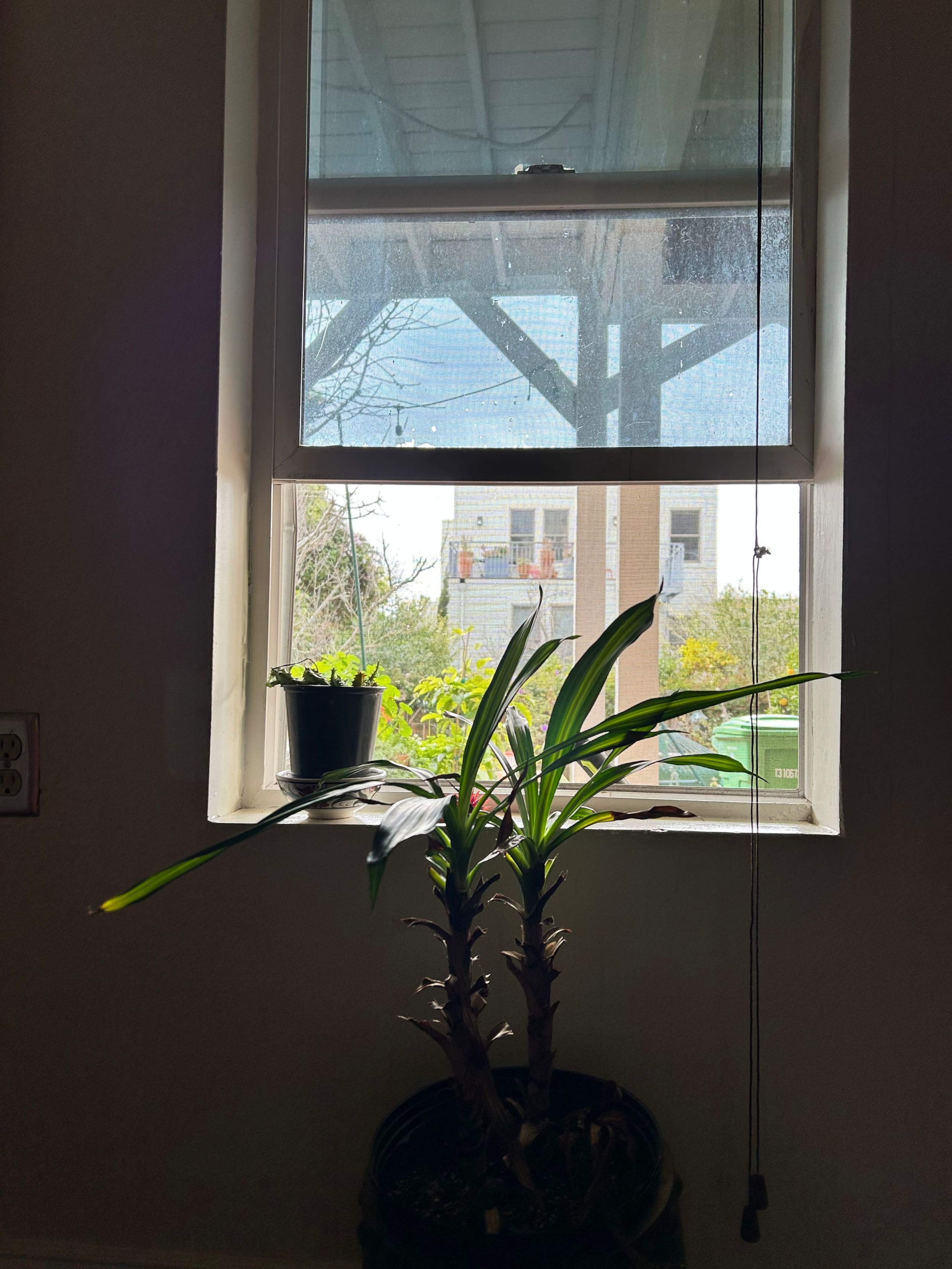 Home in San Francisco · ★4.77 · 1 bedroom · 1 bed · 1 bath - Image 23