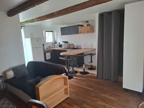 City center house with courtyard