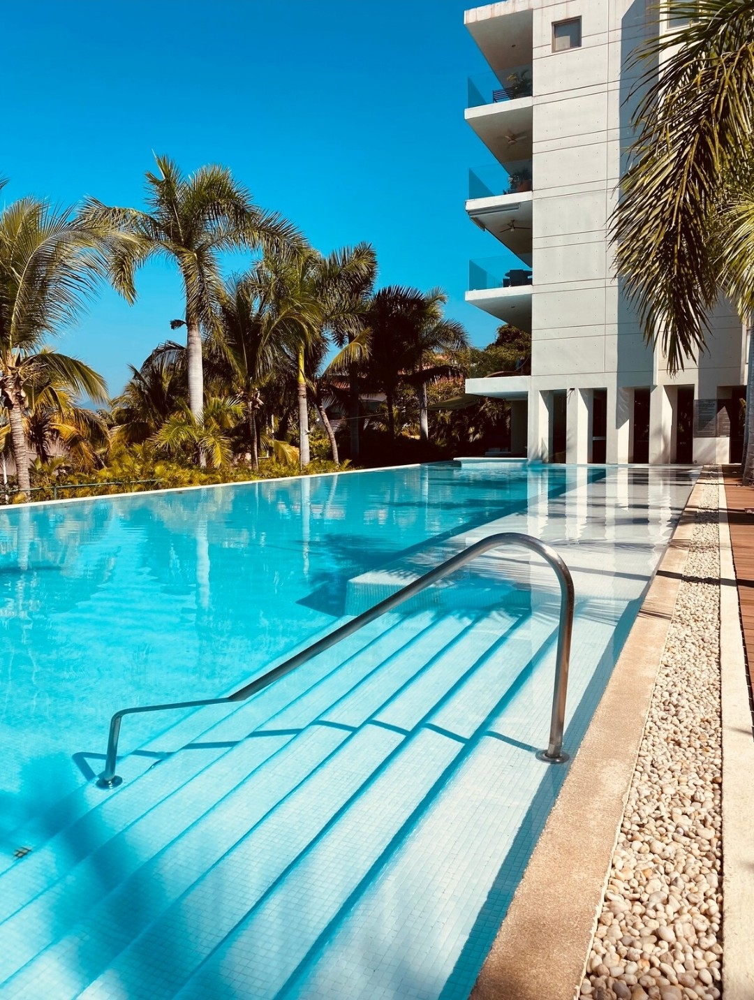 A serene outdoor pool is surrounded by palm trees, with steps leading into the inviting water. The pool area reflects a bright blue sky and is accompanied by a clean, modern building in the background.
