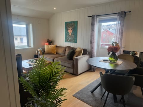 Nice and newly renovated apartment by the city center
