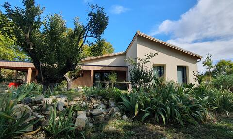 the blue tree: haven of peace in natural materials