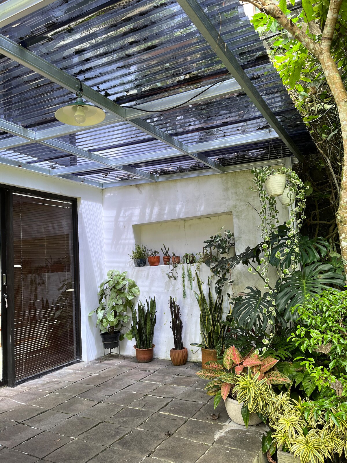 A covered outdoor space features a sturdy roof with translucent panels, allowing natural light to filter in. Various potted plants are arranged against a white wall, while a mix of lush greenery adorns the flooring, creating a calm and inviting atmosphere.