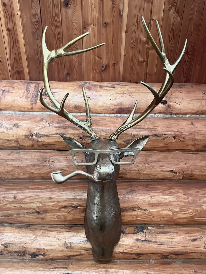 فرانكي ستاغ! نعمل على تحسين المكان منذ عام 2023