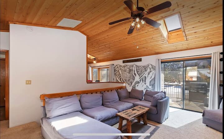 Pet Friendly Luna Lodge. - Big Bear, CA