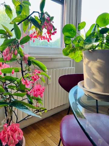 Conca dei Navigli apartment gallery image 3