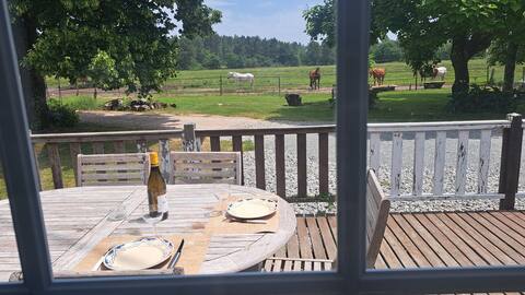 Quiet air-conditioned cottage with horse view