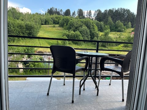 Comfortable apartment Irvas – 400 m from the center of Kolašin