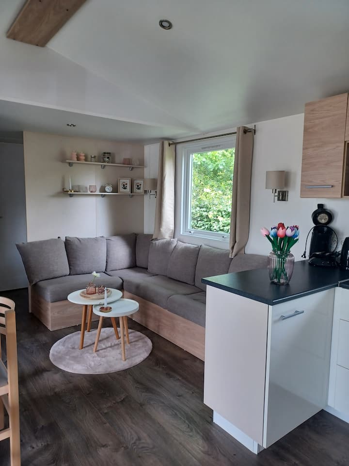 Vakantie Chalet Renesse - Burgh-Haamstede
