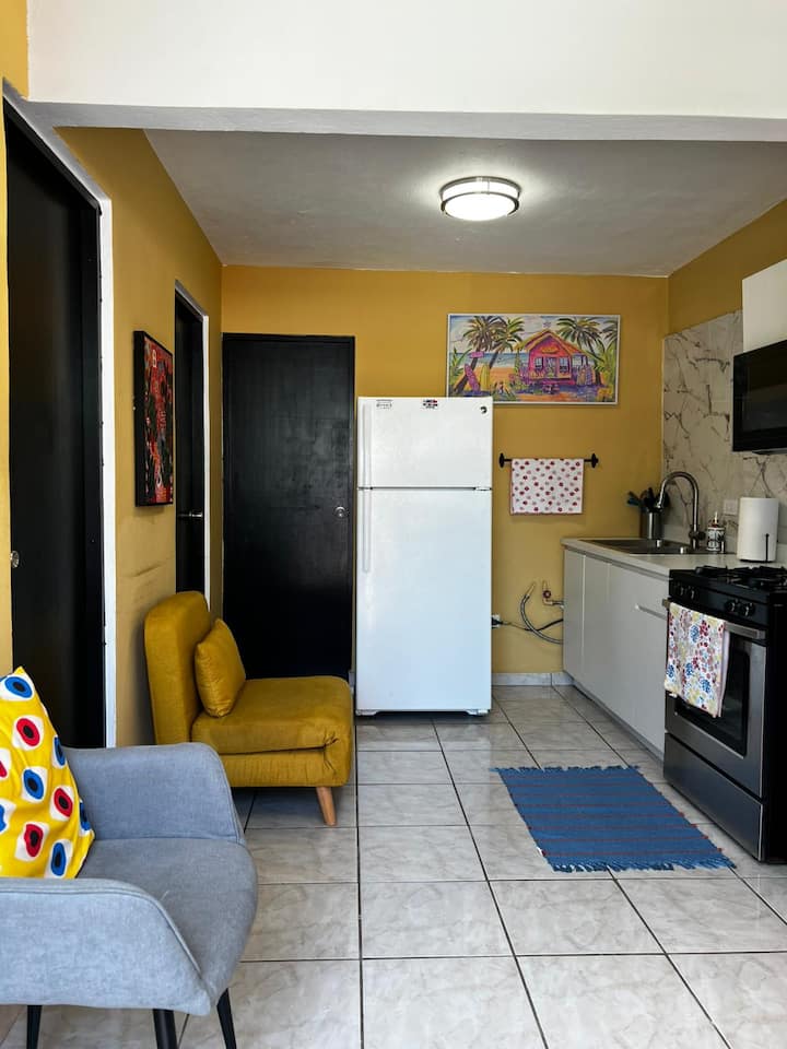 Shining & Colorful 2bd-1bth Apt Near Airport - Porto Rico