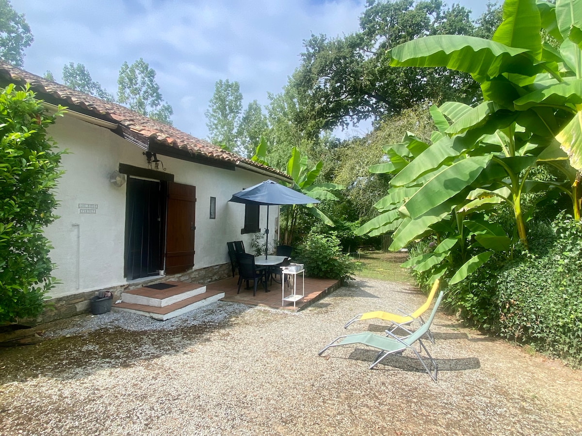 A charming outdoor space features a gravel pathway leading to a cozy seating area. A small table and chairs sit beneath a blue umbrella, while a sun lounger is positioned to the side. Lush greenery, including banana plants, surrounds the area, creating a serene environment.