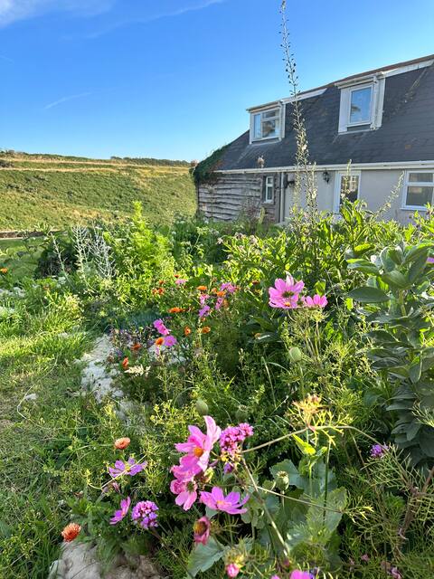 Sunset Valley house, Sark