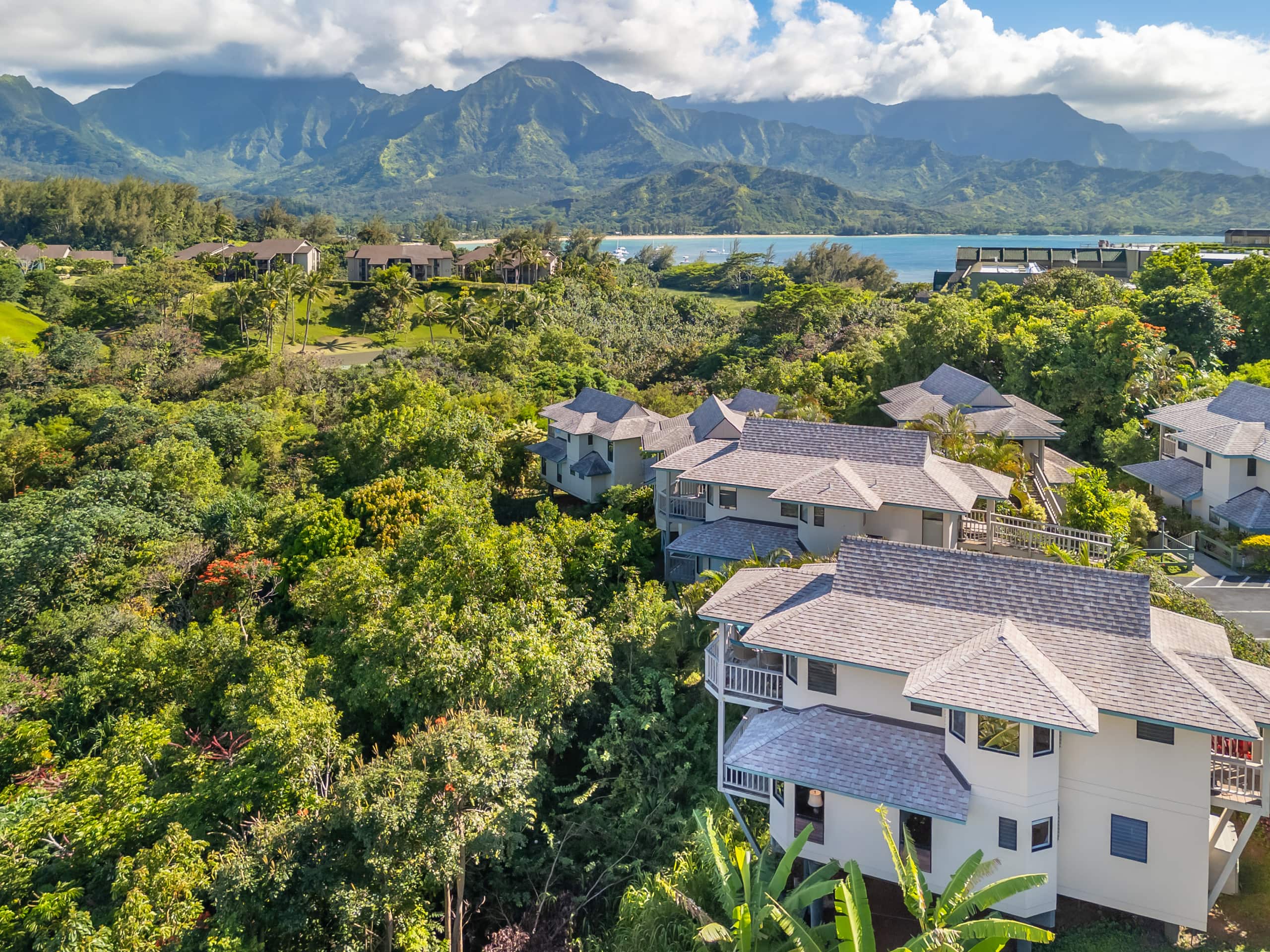 Villa in Princeville · ★5.0 · 2 bedrooms · 2 beds · 2.5 baths - Image 23